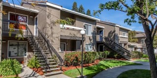 Monte Vista Apartments Gallery 18