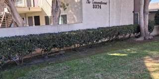3398 Armada Drive - 10 Gallery 1