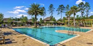 31399 Spoonbill Road Gallery 37