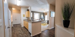 Ascent North Gallery 5