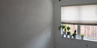 1121 Dixon Circle Gallery 18