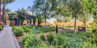 6166 N Scottsdale Road Gallery 32