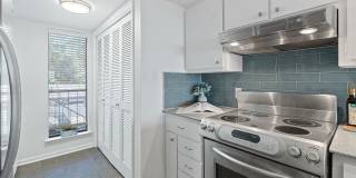 1101 Hollow Creek Drive Gallery 17