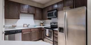 Terra Mar Gallery 42