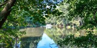 The Preserve At Dunwoody Gallery 38