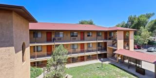 Don Quixote Gallery 3