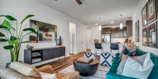 Chisholm at Tavolo Park Gallery 6