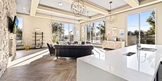 Anatole on Briarwood Gallery 35