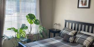 Available 06/24/2026 Gallery 27