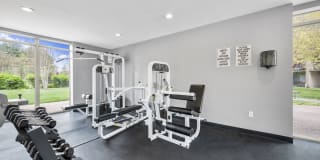 Jefferson Chase Gallery 12