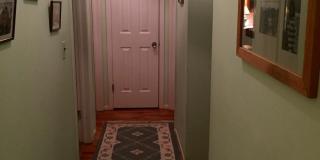814 Shore Road Gallery 13