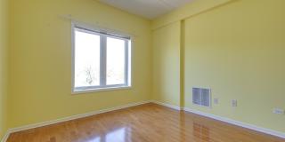 799 Graceland Avenue Gallery 30