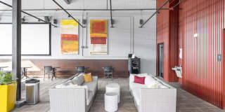Plant 64 Gallery 22