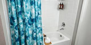 Palms of Clearwater Gallery 38