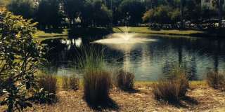 Condominium for Rent in Cape Coral. 2bed/2bath . Zip code 33990 Gallery 5