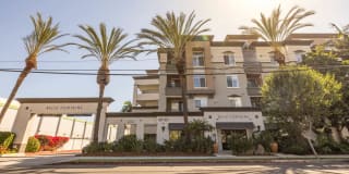 Belle Fontaine Gallery 1