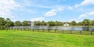 11173 Manatee Gallery 45