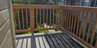 3 Bedroom 2 Bathroom Bozeman Condo Gallery 11