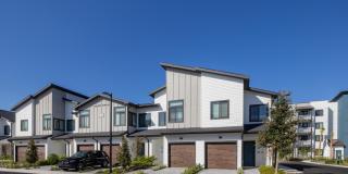 Broadstone Marina Bay Gallery 43