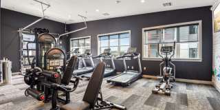 Virginia I Gallery 9