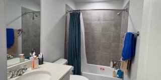 4959 Lexi Ln - 1 Gallery 43
