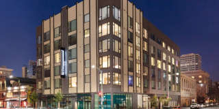 Alice House Gallery 18