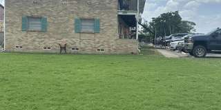 Vista Escolar Gallery 1