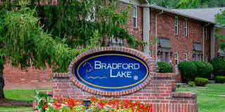 Bradford Lake Gallery 20