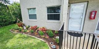 1103 CYPRESS GARDENS BOULEVARD Gallery 4