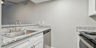 Buena Vista Gallery 71