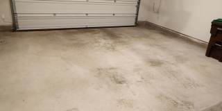 Beautiful 4BR Home for Rent in Cypress Trails – Near Medical Center Gallery 37