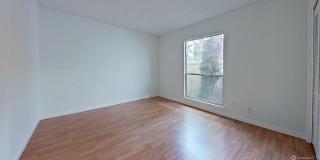 Expirience the Ultimate Beach Lifestyle! Gallery 14