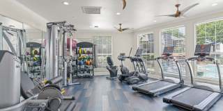 District 2308 Gallery 20