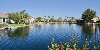 4683 S OLEANDER Drive Gallery 21