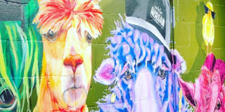 200 S Dawson Street Gallery 24