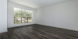 Harbor Walk Gallery 21