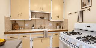 Spacious Two Bedroom with In Unit Washer & Dryer! Flooring Throughout! Gallery 1