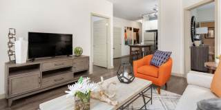 Solara Gallery 2