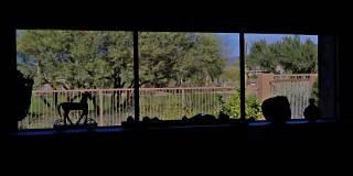 6894 E THIRSTY CACTUS Lane Gallery 36