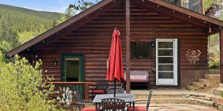 258 P61 Road Gallery 1