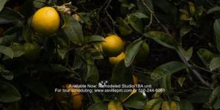 2916 Filbert Street Gallery 18