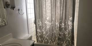 Denver Three Bedroom House Two Blocks From City Park Gallery 9