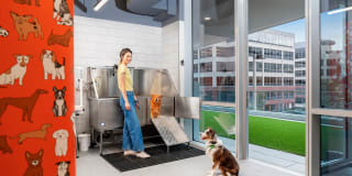 Brio Apartments Gallery 36