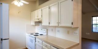 Spacious 4 Bedroom in Mid-Town Fort Collins Gallery 8