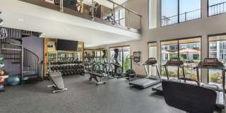 Mayfair Reserve Gallery 30