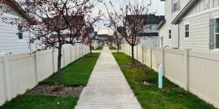 1017 East Lockhart Street Gallery 12