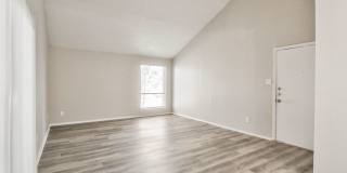 Lubbock Heights Gallery 77