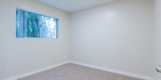 Amber Ridge Gallery 10