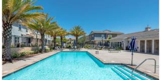22938 Harvest Mill Cir Gallery 23