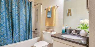 Northcliffe Forest Apartments Gallery 24